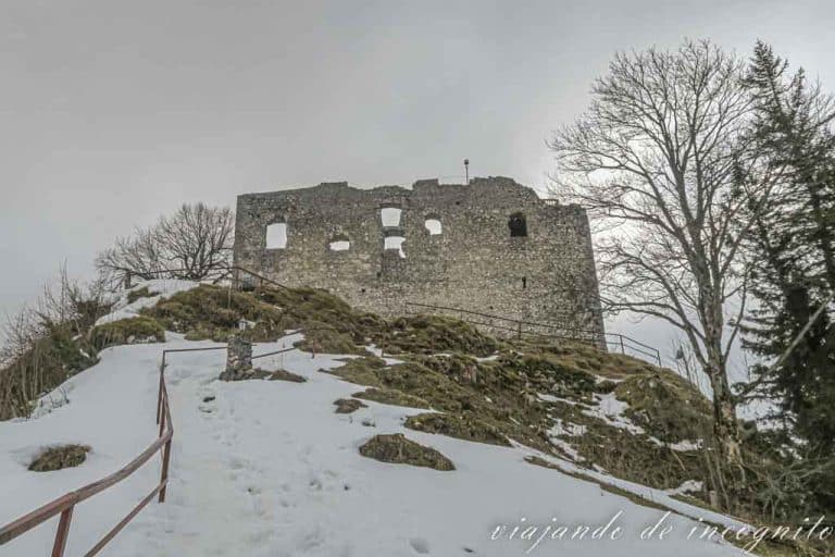 Ruinas del castillo Falkenstein rodeadas de nieve.