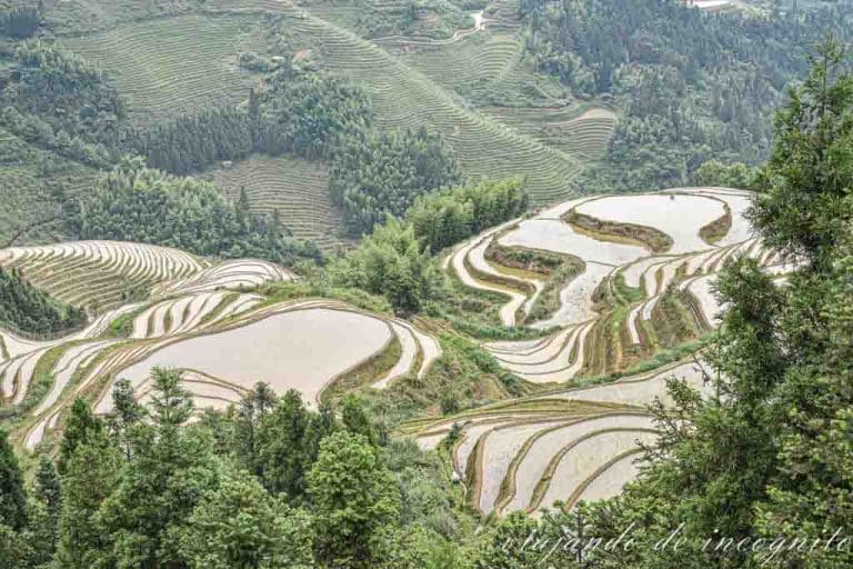 Varias terrazas de arrozales cubiertas de agua en Dazhai.