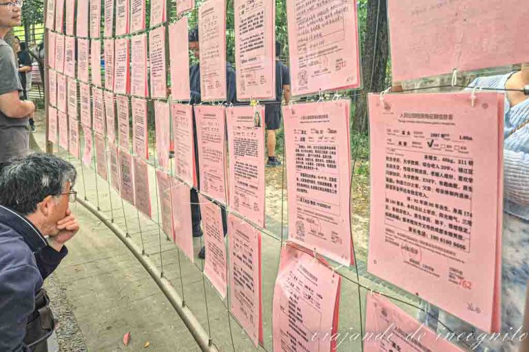 Un hombre lee los anuncios de buscar pareja en el people´s park.