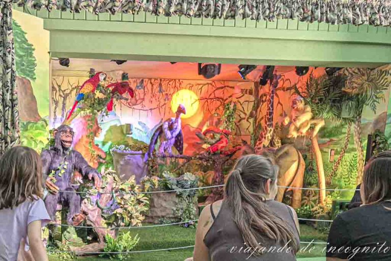Varias personas ven el Dschungel show en el Schwaben Park