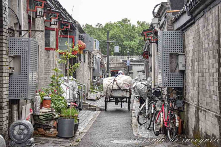 Un carro cargado de ver de espaldas cruzando un hutong de Pekín.