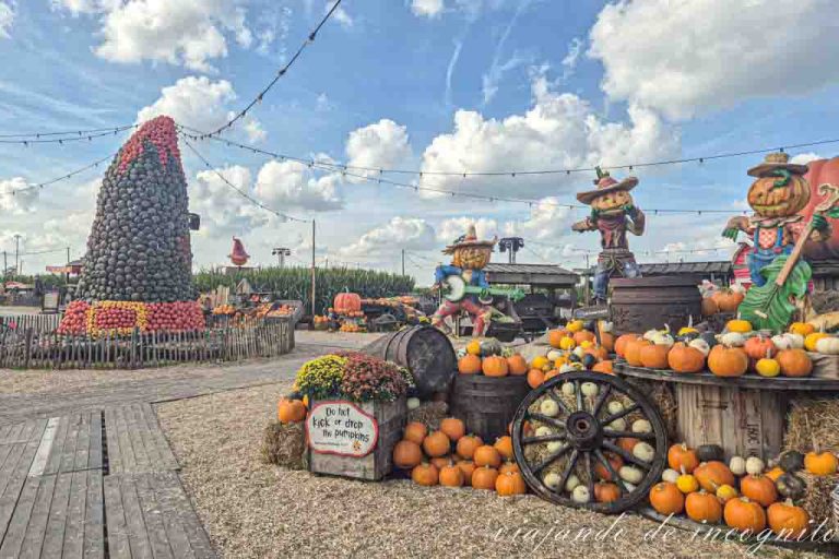 Entrada a la Granja de Calabazas de Toverland durante el día.