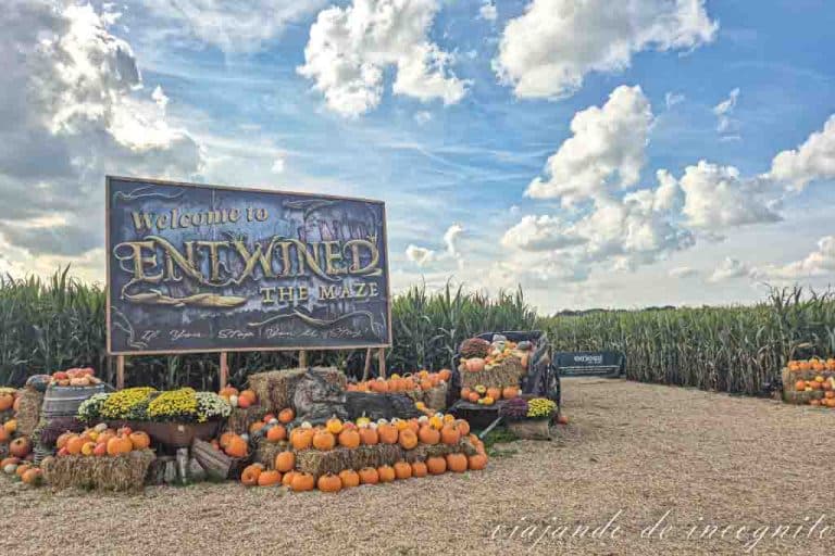 Entrada de Entwined durante el día.